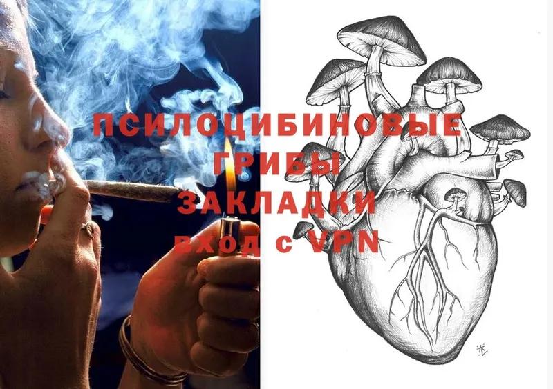 Галлюциногенные грибы Magic Shrooms  Красноперекопск 